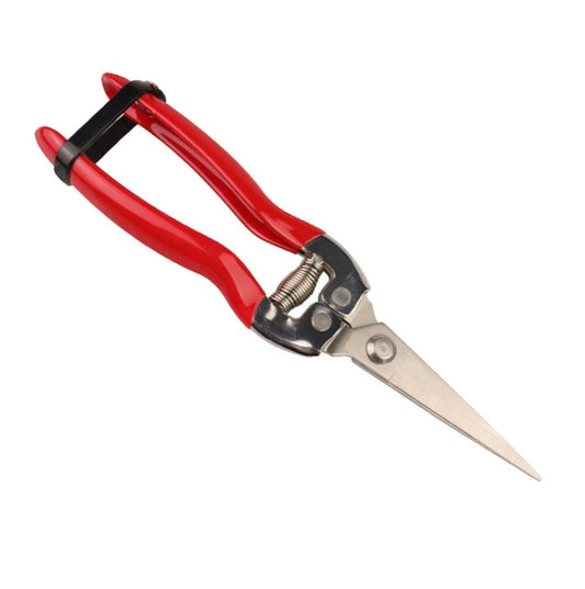 Professional Long Nose Scissor (Carton of 120)