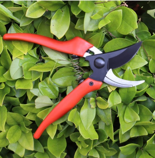 Bypass Pruner 19cm (Carton of 90)